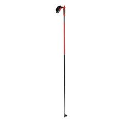 Rossignol Force 7 Poles