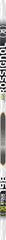Rossignol X-Tour Escape NIS Skis