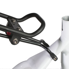 Axiom Streamliner Disc DLX Rear Rack