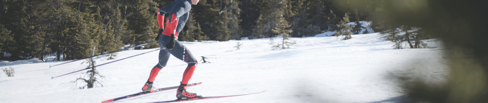 Cross-Country Skate Skis