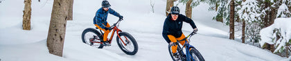 Electric Fat Bikes