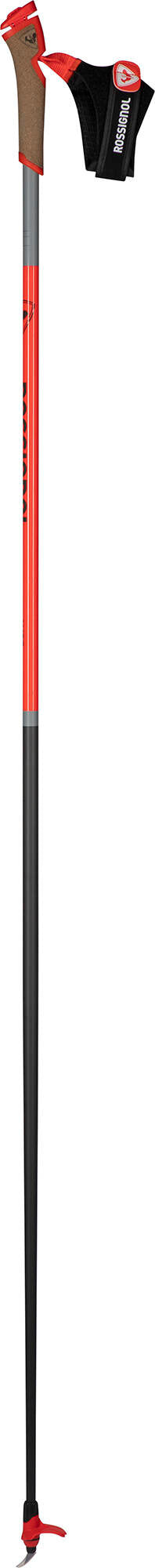 Rossignol WCS Poles