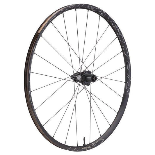 Easton EA90 AX HG rear Wheel